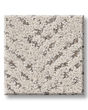 Quiet Trail Pet Friendly 43oz Carpet