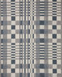 Rainier RAI-04 Ivory/Denim Area Rug