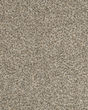 Raise The Woof I Pet Friendly 40oz Carpet