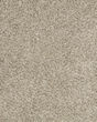 Raise The Woof II Pet Friendly 53oz Carpet