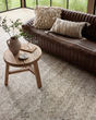 Raven RAV-03 Dove/Ivory Area Rug