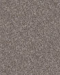 Refined Chic Alaskan Air Textured Carpet