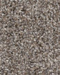 Refined Chic Chic Greige Textured Carpet