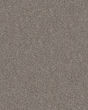Refined Chic Chic Greige Textured Carpet
