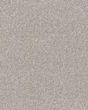 Refined Chic Frozen Textured Carpet