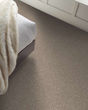 Refined Chic Natural Textured Carpet