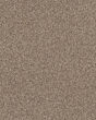 Refined Chic Textured 45oz Carpet