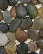 River Rock Rustic Blend Stone Mosaic Tile