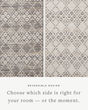 Rivers RIV-01 Denim/Ivory Area Rug