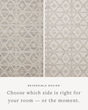 Rivers RIV-02 Lagoon/Ivory Area Rug