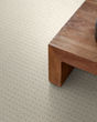 San Lucas Patterned Nylon Carpet