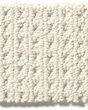 San Lucas Patterned Nylon Carpet