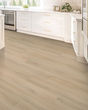 Eastbrook Shoals SolidTech Plus Constance Luxury Vinyl