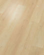 Saltgrass Springs SolidTech Premier Seabrook Luxury Vinyl