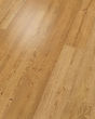 Saltgrass Springs SolidTech Premier Westerly Luxury Vinyl