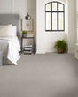 Secret Passage Pet Friendly 43oz Carpet