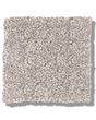 Secret Passage Pet Friendly 43oz Carpet