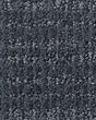 Sensible Now Nylon 25oz Carpet