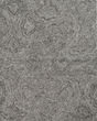 Serenity 1258 Grey Playa Area Rug