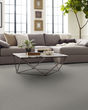 Crescent Hill Pet Friendly 43oz Carpet