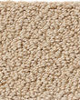 Smart Thinking Textured Loop Nylon Carpet