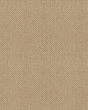 Smart Thinking Textured Loop Nylon Carpet