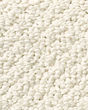 Smart Thinking Textured Loop Nylon Carpet