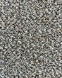 Soft Impact B Textured 24oz Berber Carpet