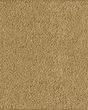 Soft Excellence Textured SmartStrand Carpet