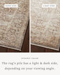 Sonnet SNN-09 Mocha/Tan Area Rug