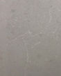 Steamboat Quartz Countertop