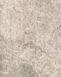 Stirling Patterned SmartStrand Silk Carpet