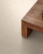 Stroll Patterned Nylon 31oz Carpet