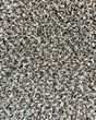 Soft Impact B Studio Textured Berber Carpet