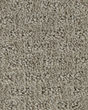 Stylish Attraction Patterned EverStrand Carpet