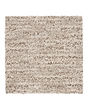 Stylish Ease Patterned EverStrand Carpet