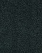 Stylish Grace Textured 55oz SmartStrand Carpet