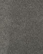 Stylish Grace Textured 55oz SmartStrand Carpet