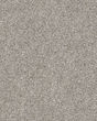 Suave Textured Nylon 25oz Carpet