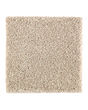 Subtle Tones Textured SmartStrand 57oz Carpet