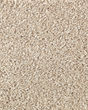 Subtle Tones Textured SmartStrand 57oz Carpet