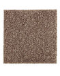 Subtle Tones Textured SmartStrand 57oz Carpet