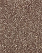 Subtle Tones Textured SmartStrand 57oz Carpet