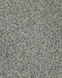 Superior Selection Textured SmartStrand Carpet