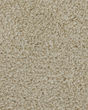 Superior Selection Textured SmartStrand Carpet
