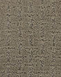 Superior Honor Tradewind SmartStrand Carpet