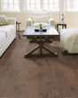 Biscayne Bay Birch Low Tide 5" Hardwood