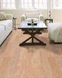 Timeless Red Oak 5" Natural Hardwood