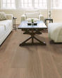 Expressions 9.5" Mural White Oak Hardwood