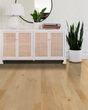 Natural Classics Hard Maple 3" Hardwood